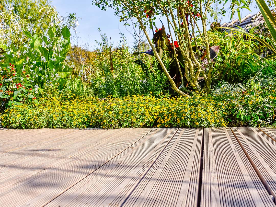 Allée de jardin en bois