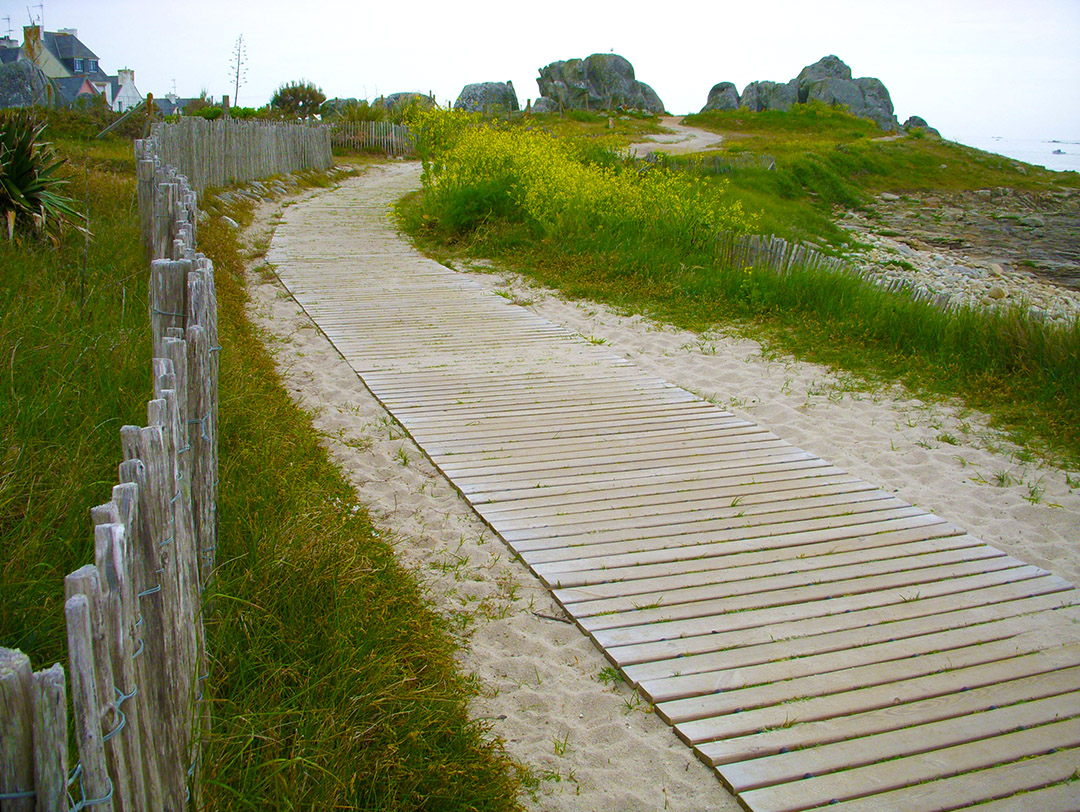 You are currently viewing Le chemin en bois, une solution d’accès PMR incontournable