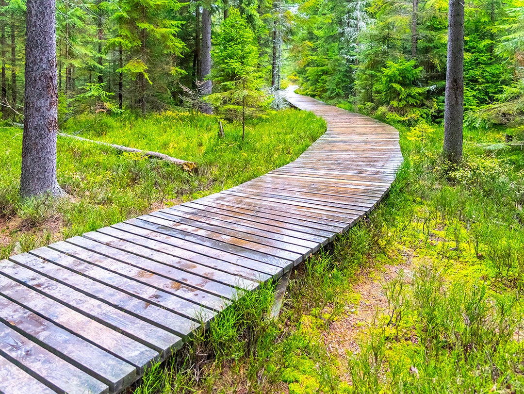 You are currently viewing Aménagements extérieurs sur mesure, les avantages du chemin de bois