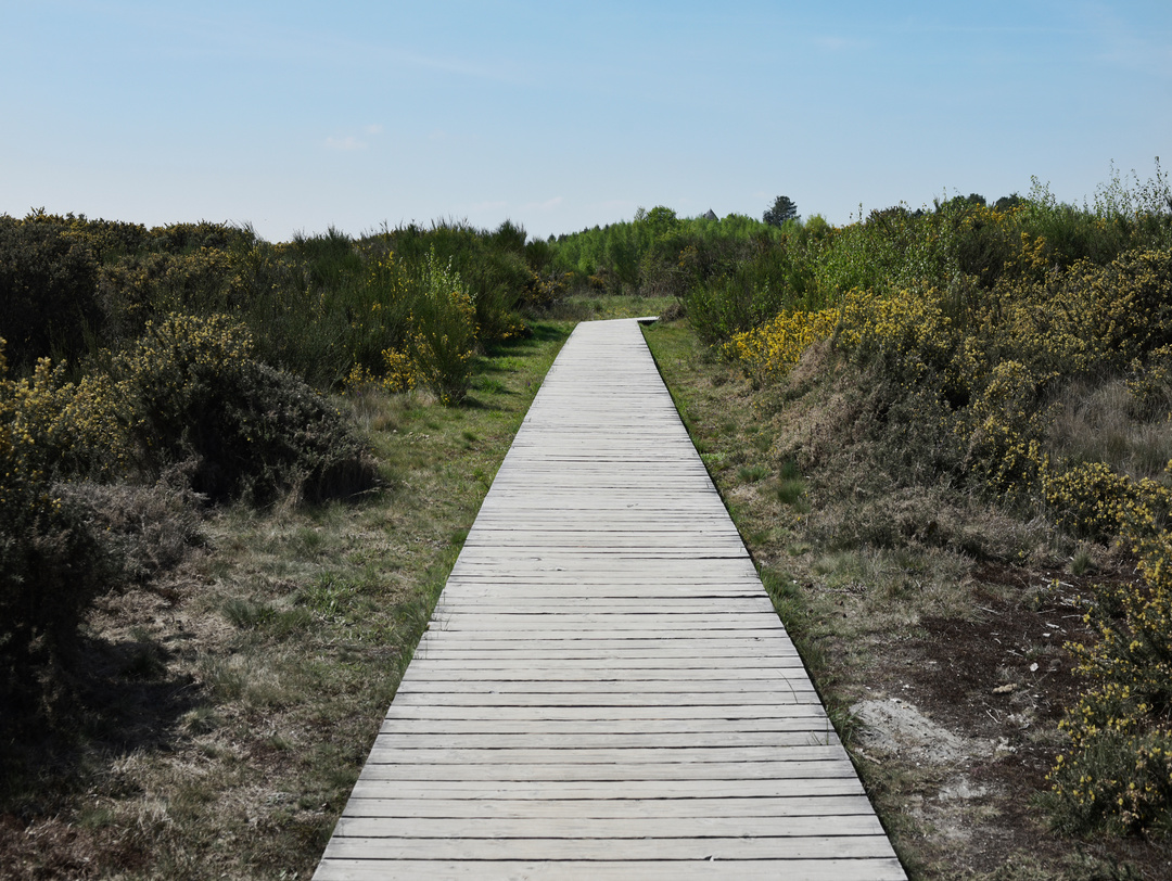 You are currently viewing Les meilleures pratiques pour l’installation d’un chemin en bois