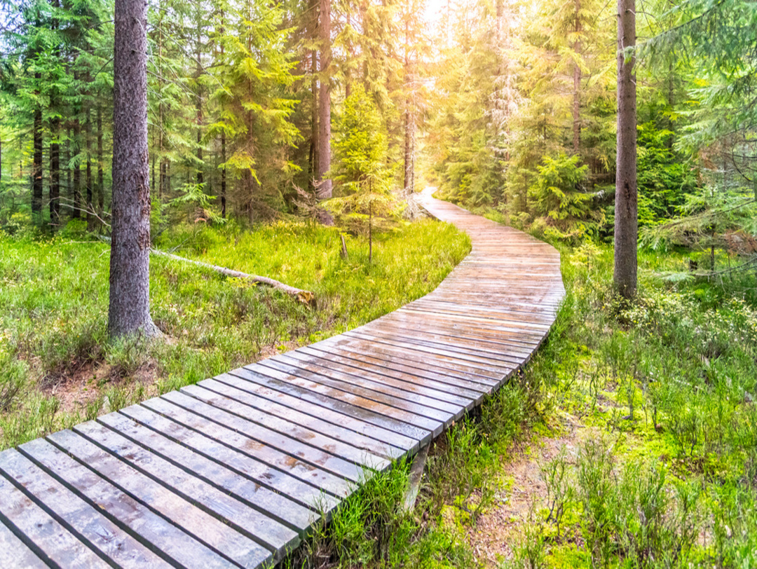 You are currently viewing Chemins en bois et conformités aux normes d’accessibilité : Comment garantir le respect des régulations ?