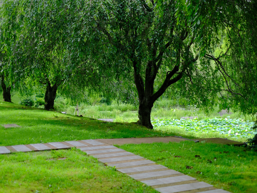 You are currently viewing Des allées en bois pour tous les styles de jardin