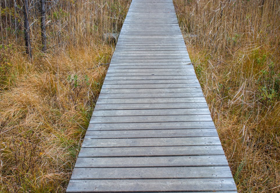 allée en bois hiver